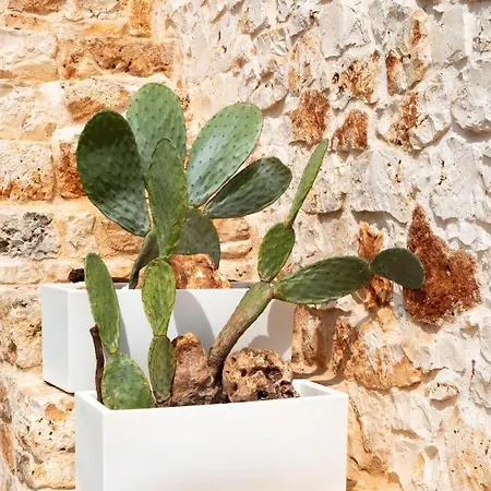 Casa Tonini וילה