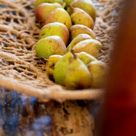 וילה Casa Tonini *