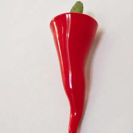 Casa Tonini * אוסטוני